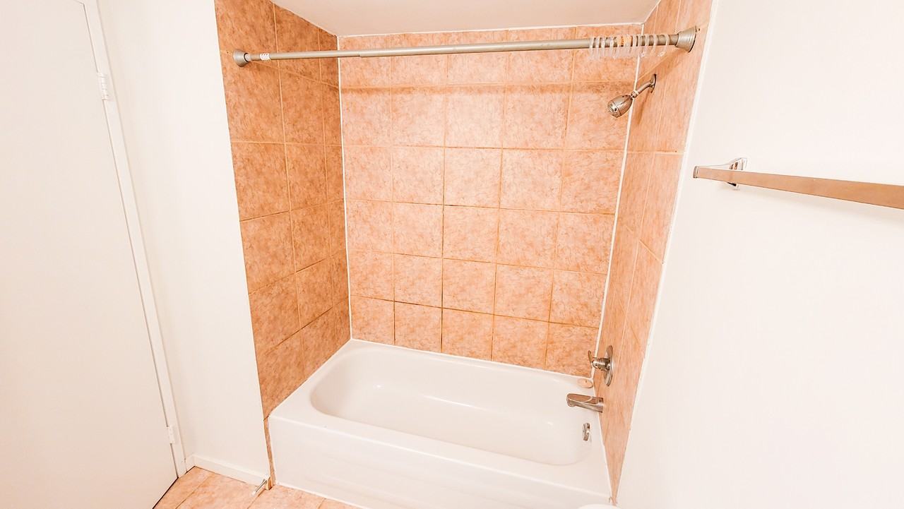 Pinetree Apartments - Photo 7 of 23