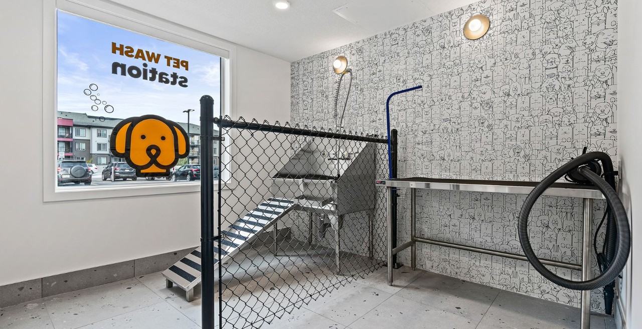 Edison 50 - Photo 6 of 36