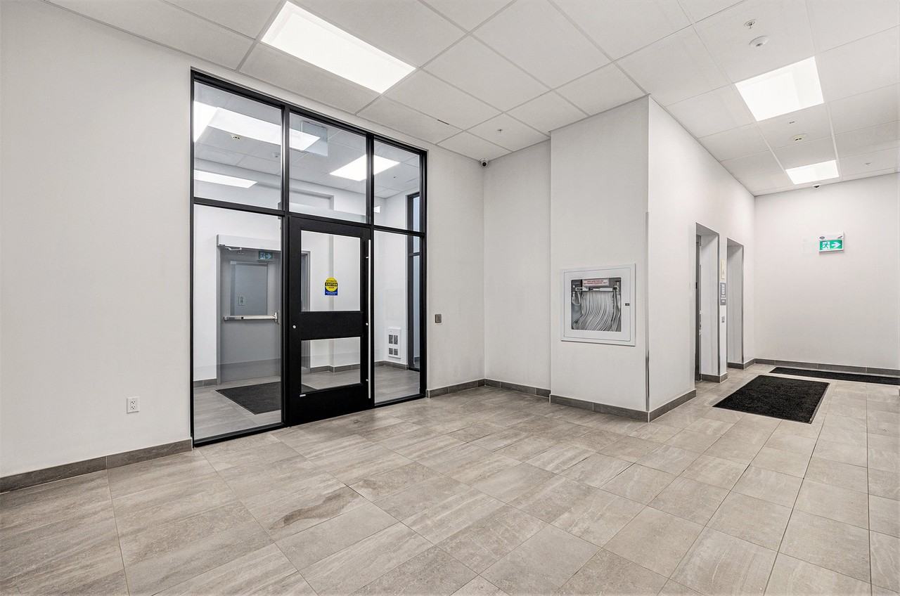 Mural Kingston - Photo 5 of 50