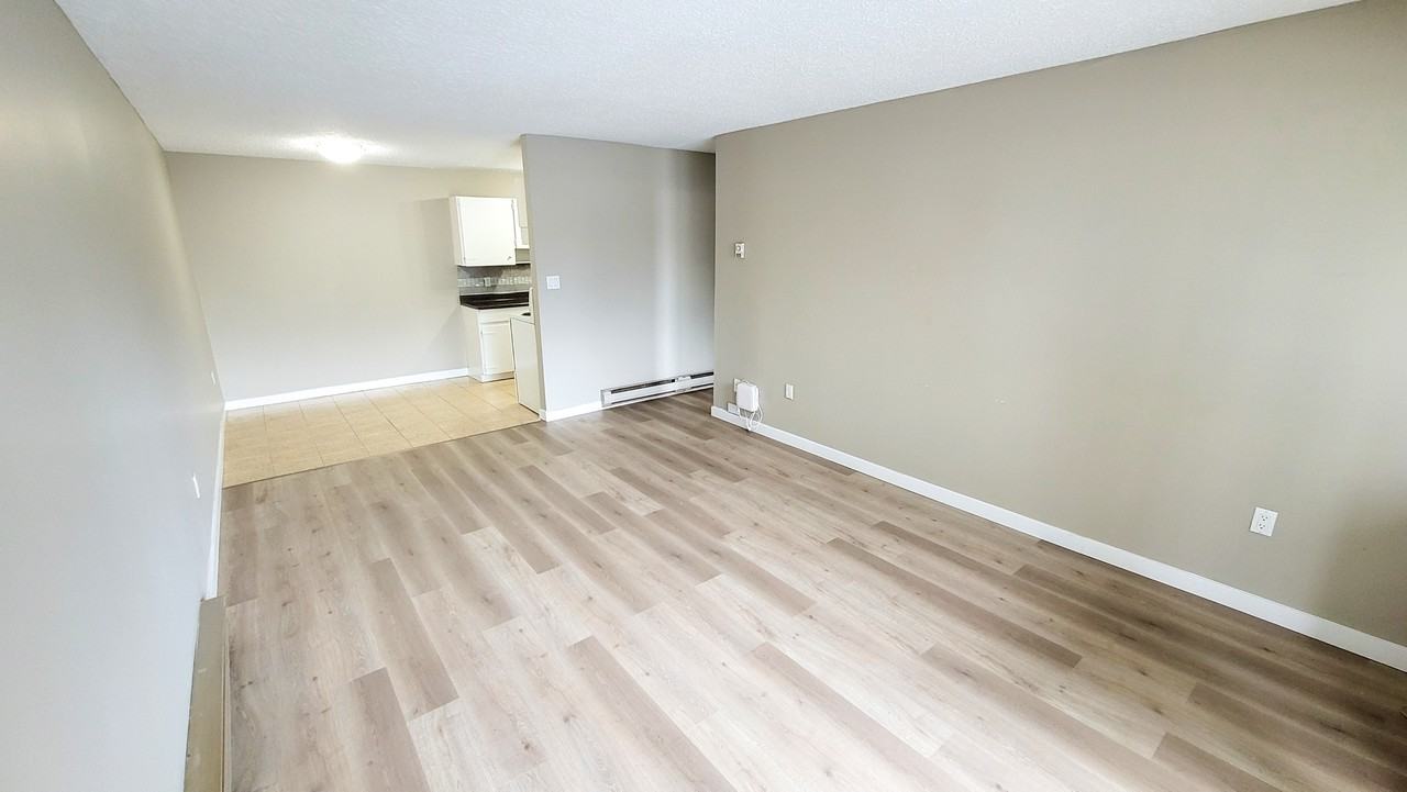 Charlotte Manor - Photo 5 of 16