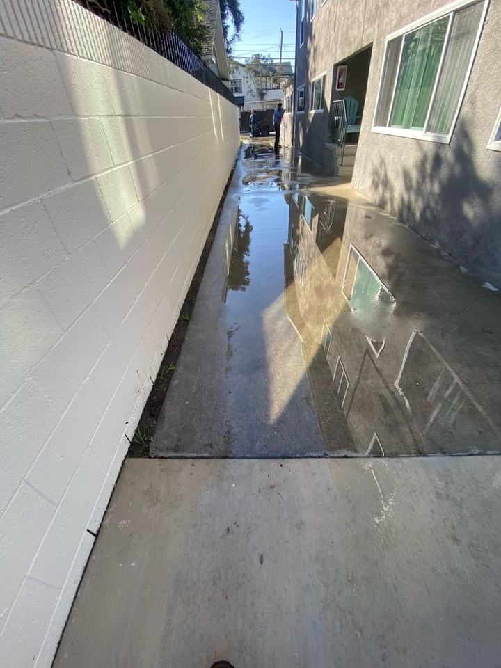 748 Newport Avenue - Photo 4 of 40