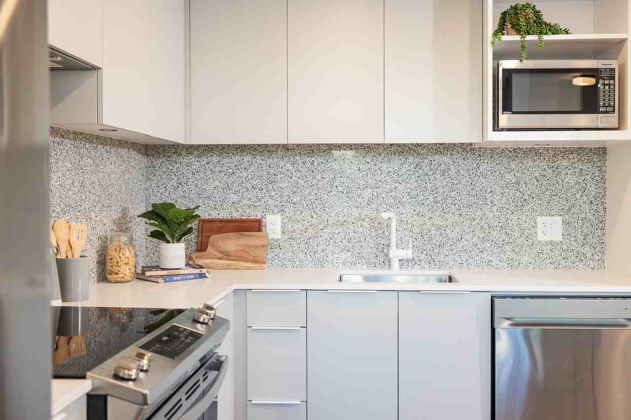 Comma King George - Photo 5 of 32