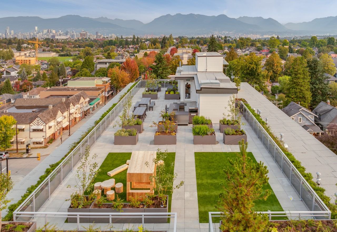 Arlo - Photo 2 of 50