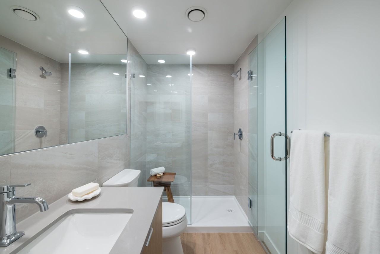 Arlo - Photo 4 of 50