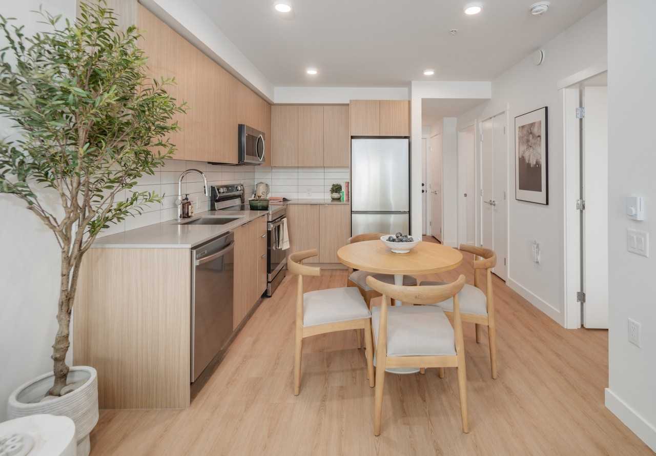 Arlo - Photo 5 of 50