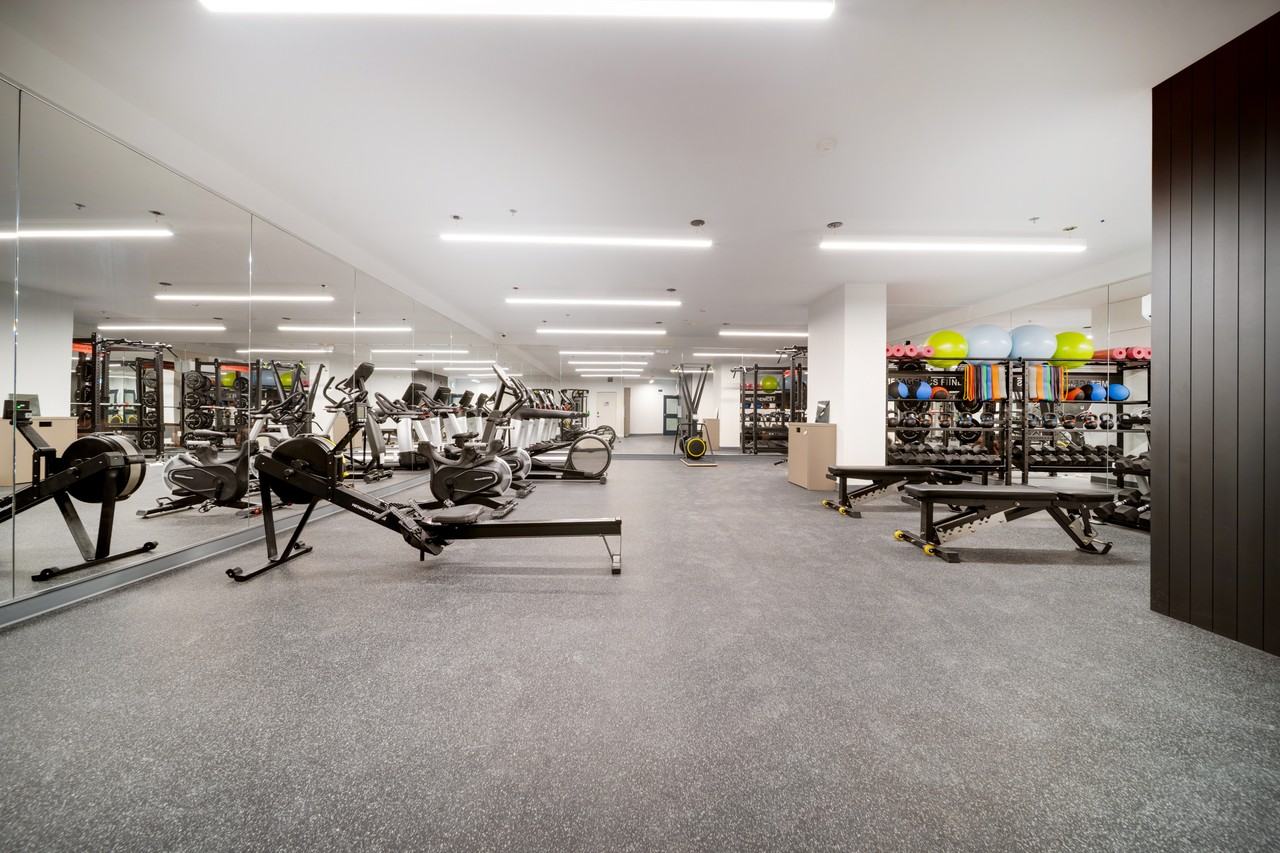 Arlo - Photo 7 of 50