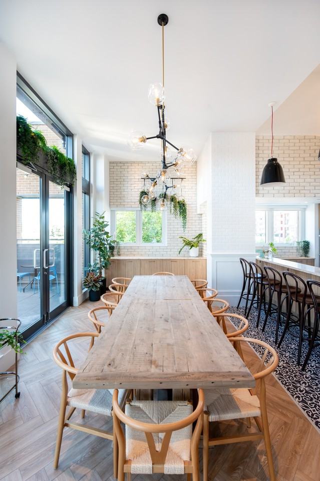 Neighbour - Photo 4 of 31