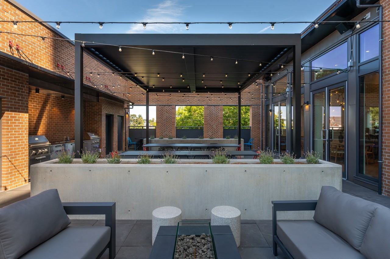 Neighbour - Photo 6 of 31