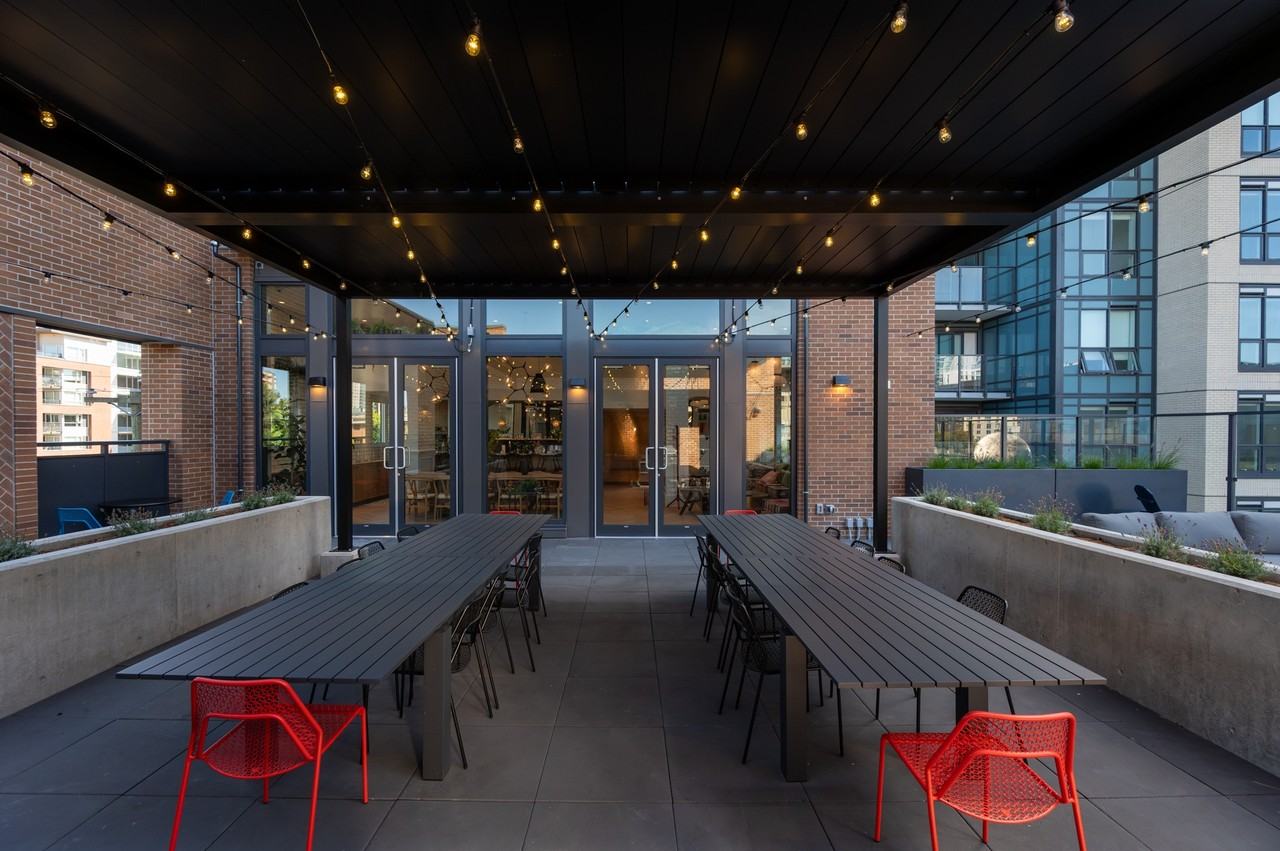 Neighbour - Photo 7 of 31