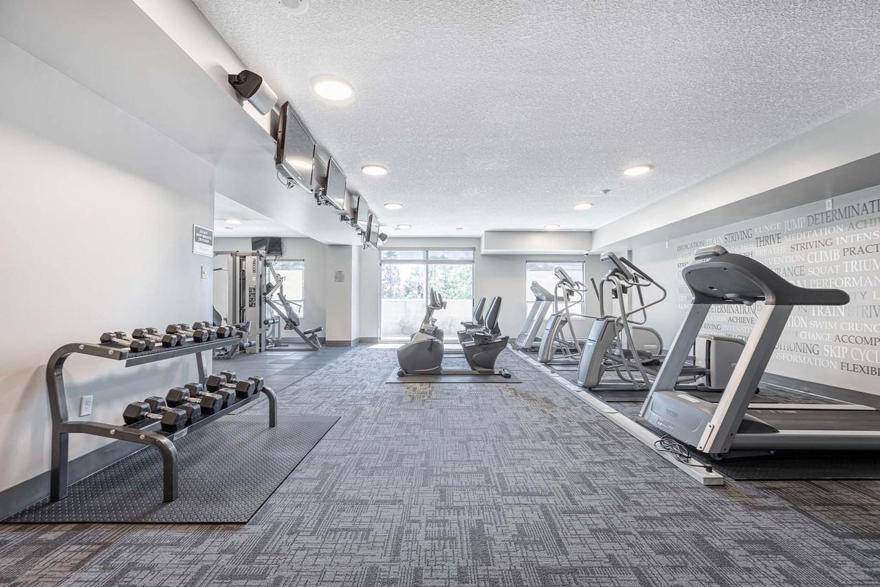 The Harriston - Photo 7 of 50