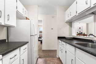 The Village - Photo 1 of 1