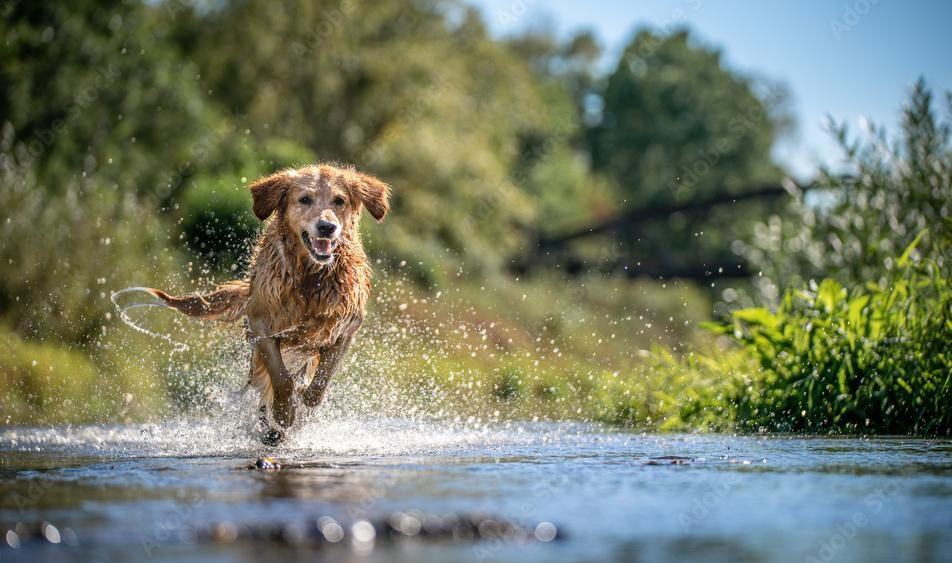 Park Edge - Photo 4 of 16