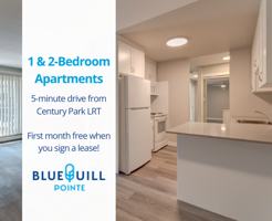 featured image of 11615 28 Ave Nw