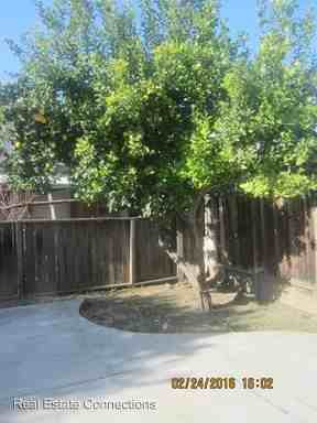 1427 Joe Dimaggio Ct - Photo 2 of 5