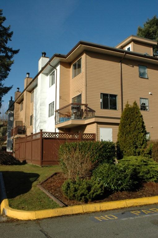 Sun Creek - Photo 2 of 25