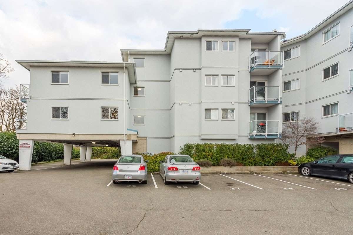 Lady Harley - Photo 5 of 10