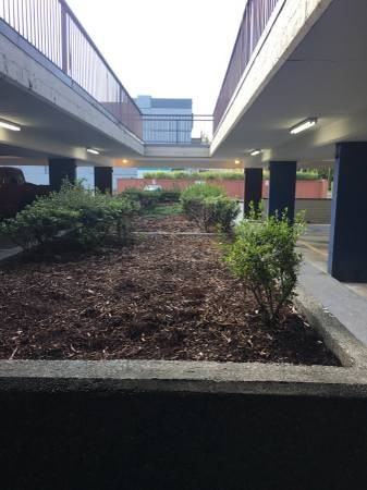 Blue Ridge - Photo 3 of 17