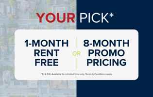 featured image of 425 Elgin St