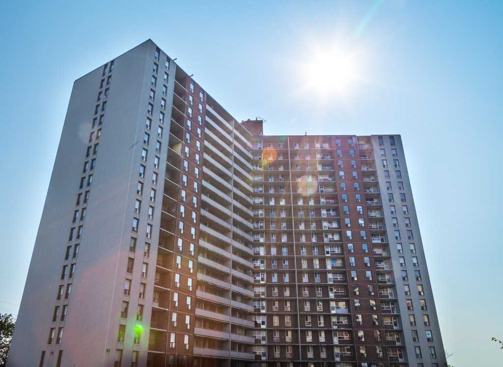 Apartment for rent at 10 Willowridge Road - Photo 6 of 15