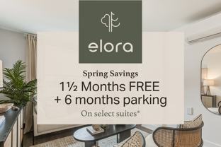 Elora - Photo 1 of 1