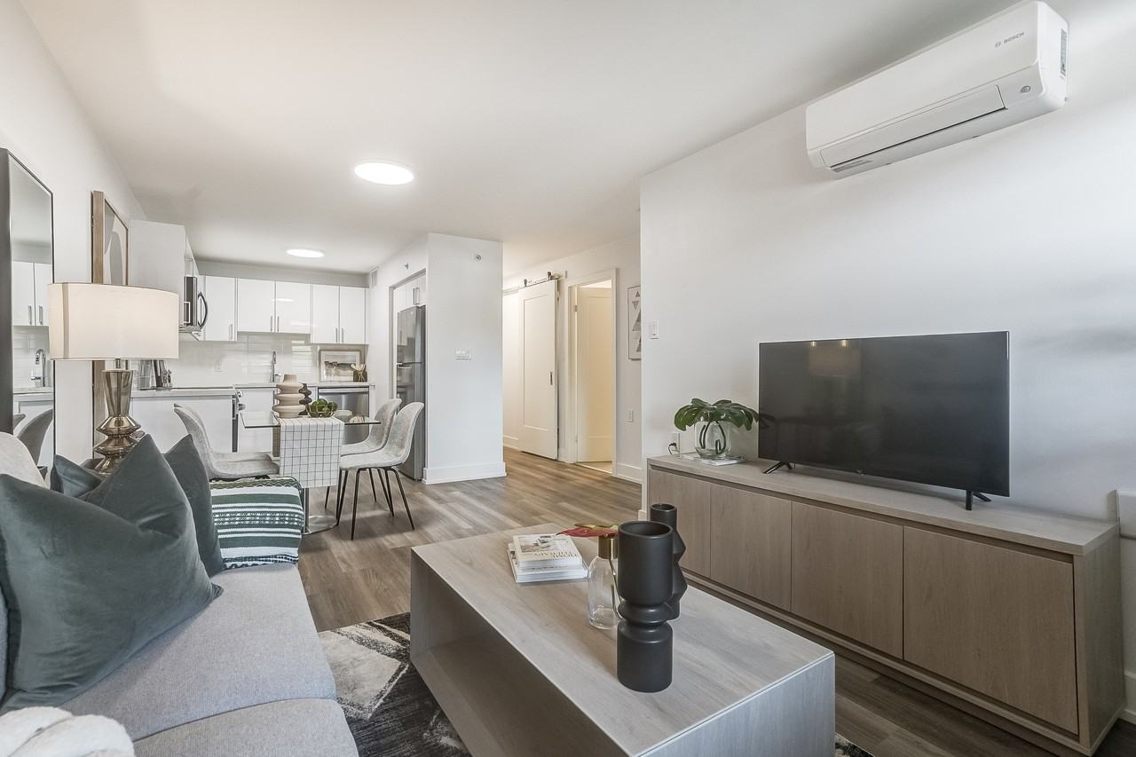 Elora - Photo 5 of 47