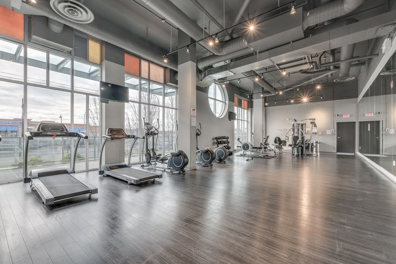 Camellia - Photo 4 of 50