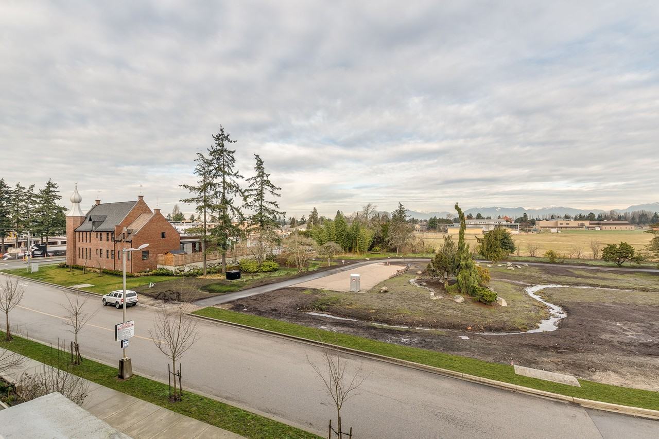 Camellia - Photo 7 of 50