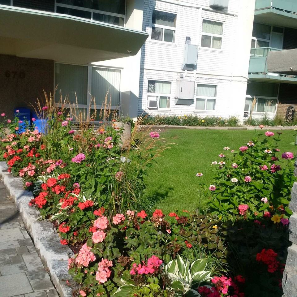 Rose Park - Photo 3 of 12