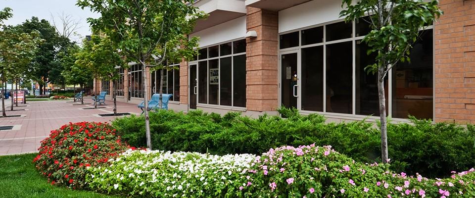 The Landmarq Rental Residences - Photo 5 of 11