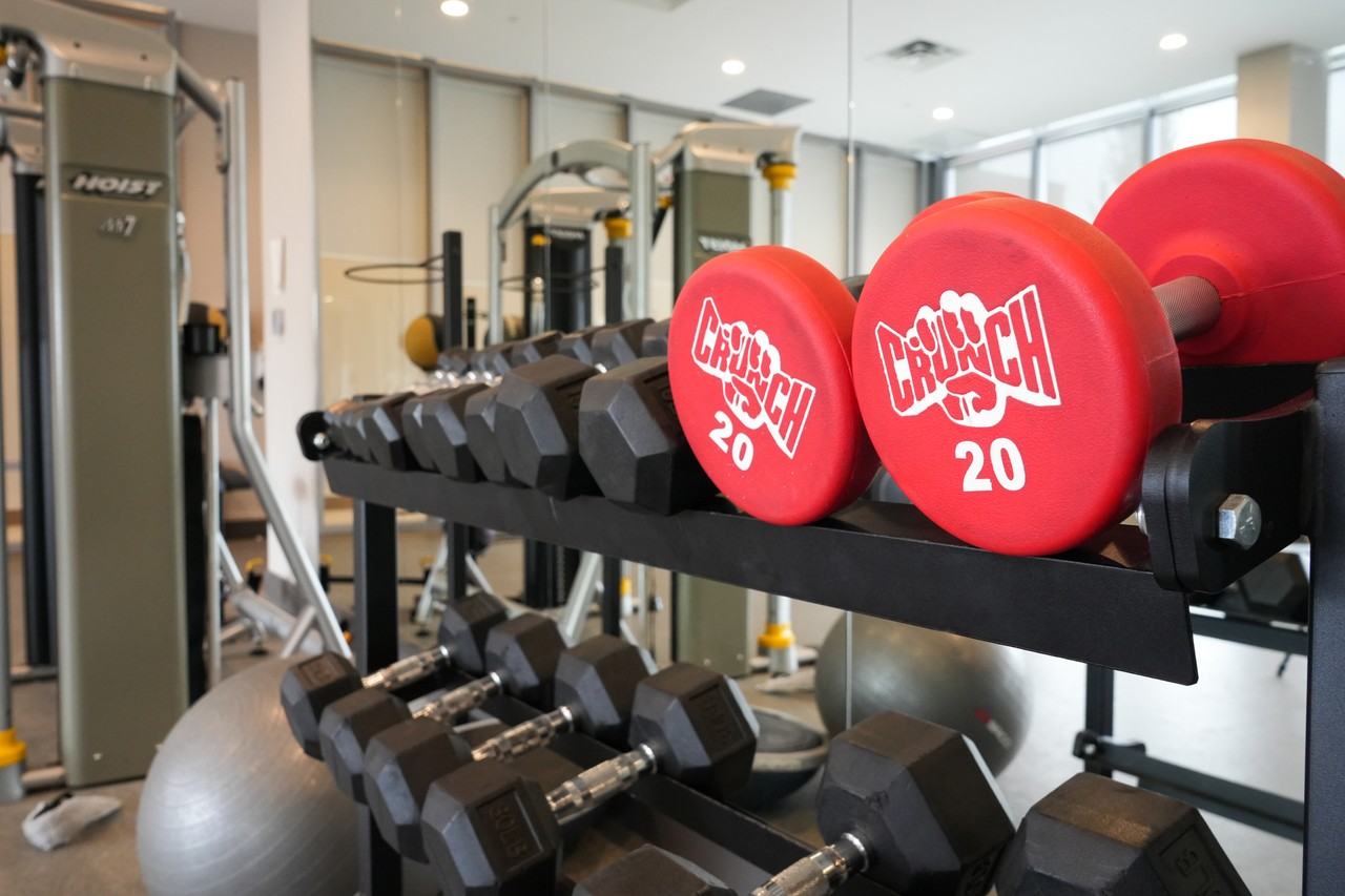 73 Bayly St. - Photo 7 of 18