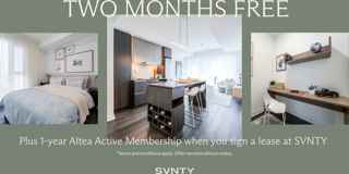 SVNTY - Photo 1 of 1