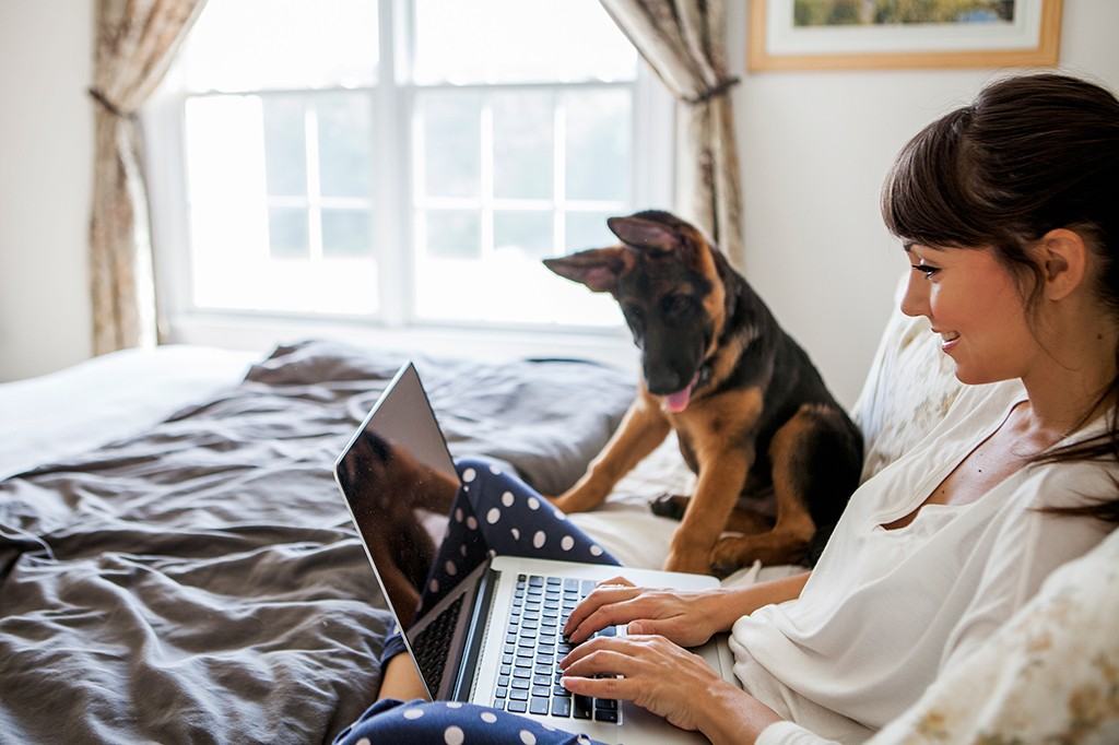 The Carlisle - Photo 5 of 40