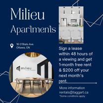 Milieu - Photo 1 of 1