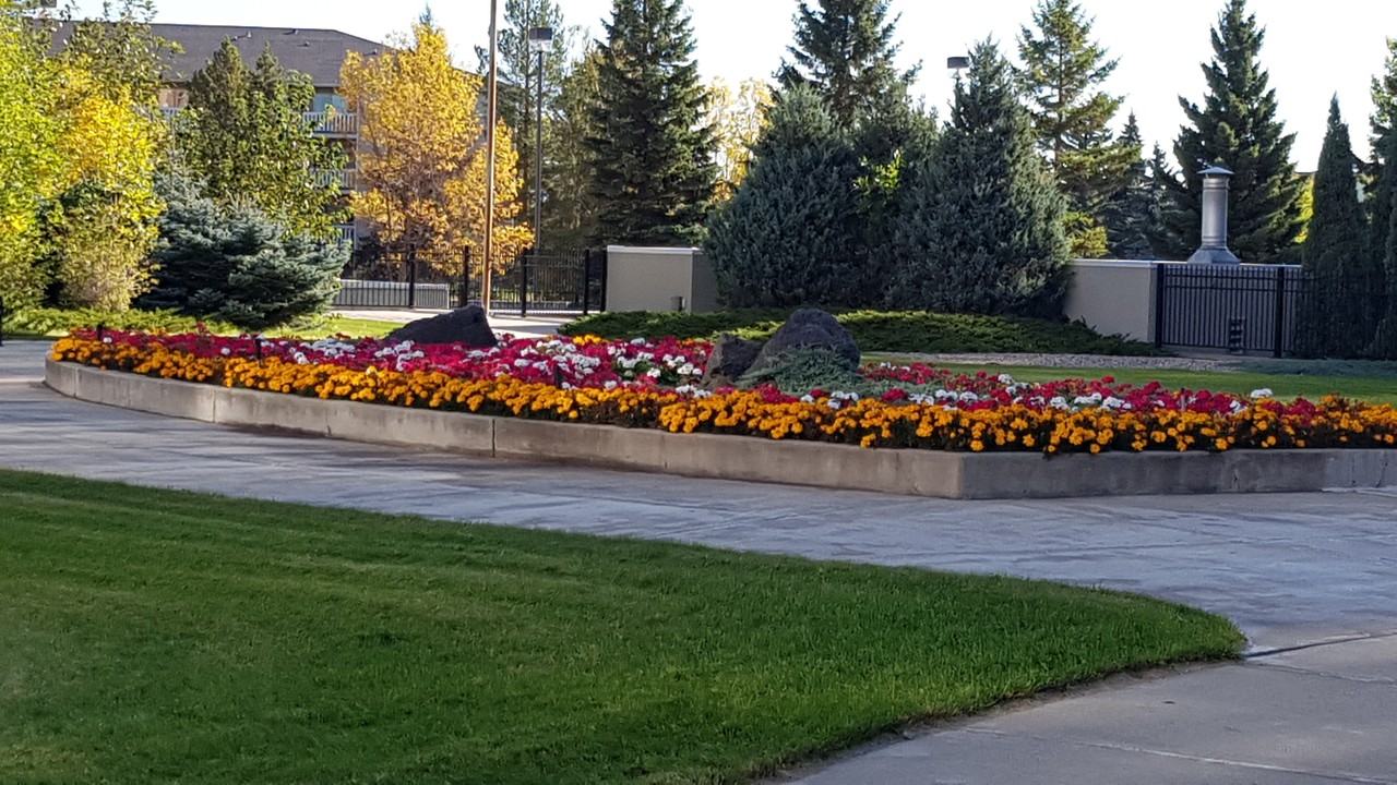 Heritage Park Towers - Photo 5 of 34