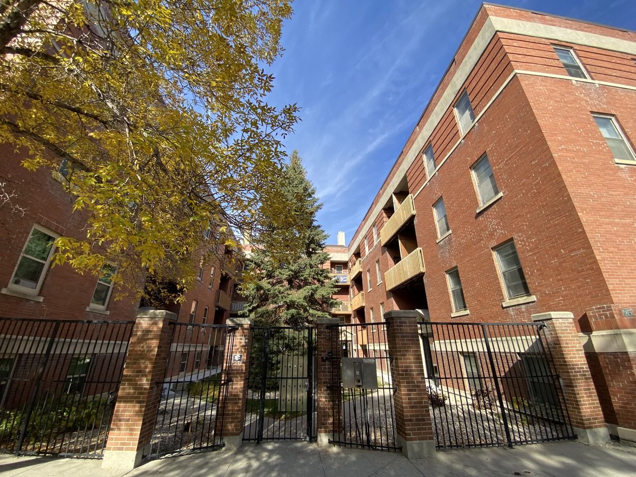 Maple Leaf - Photo 2 of 10