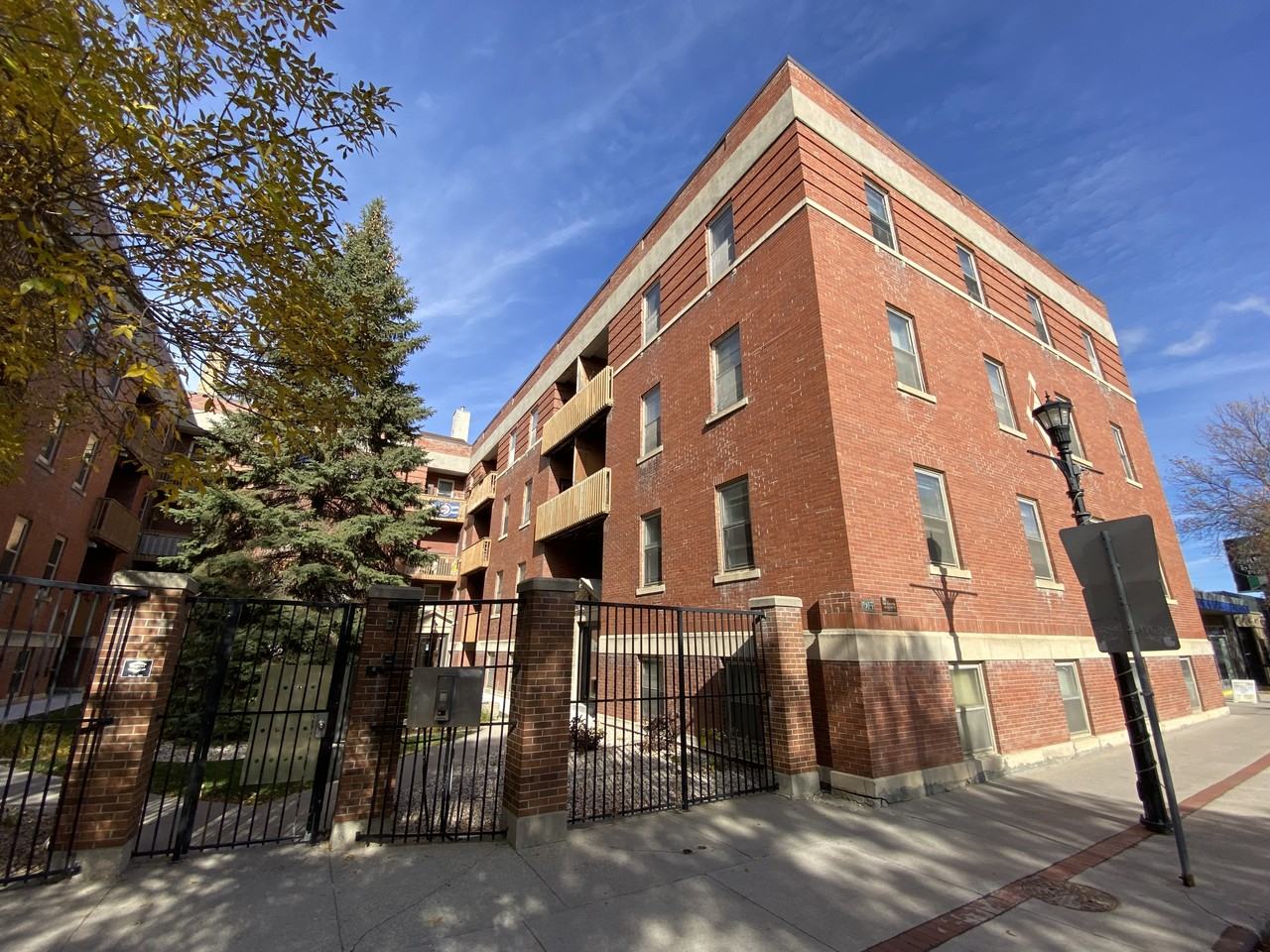 Maple Leaf - Photo 6 of 10