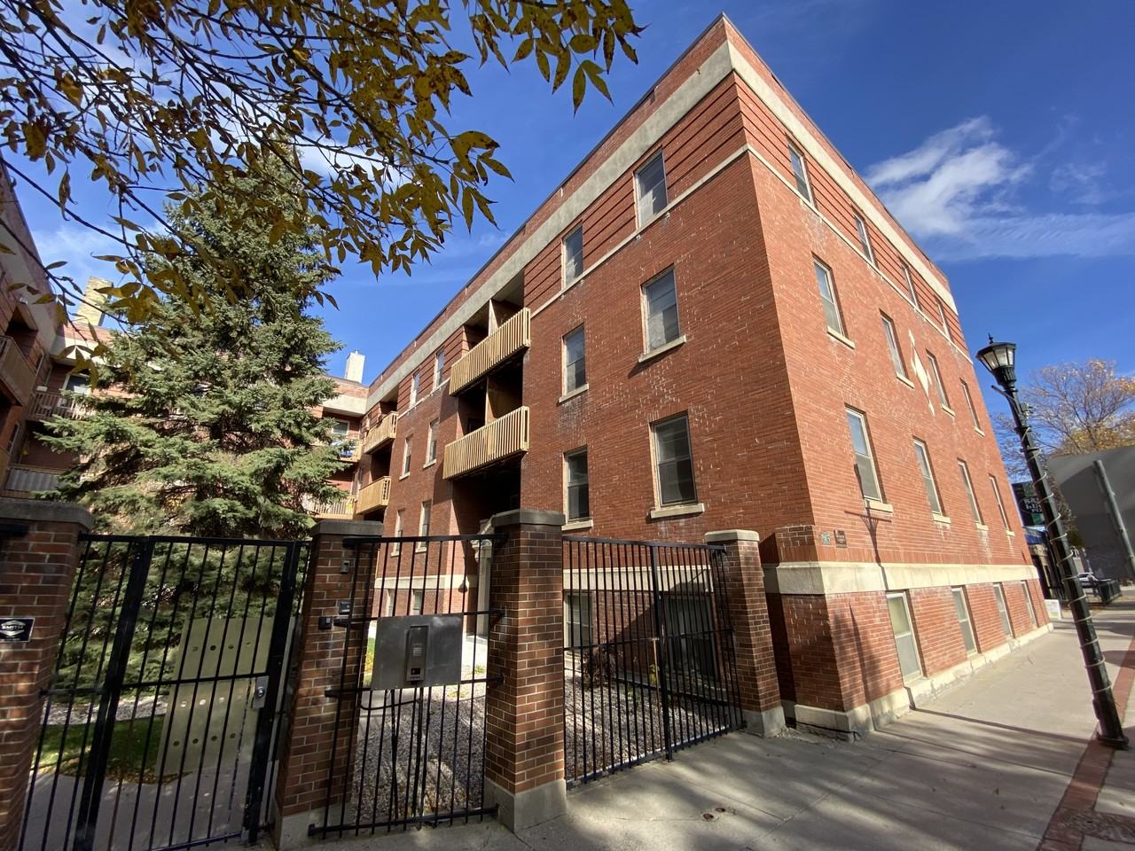 Maple Leaf - Photo 7 of 10