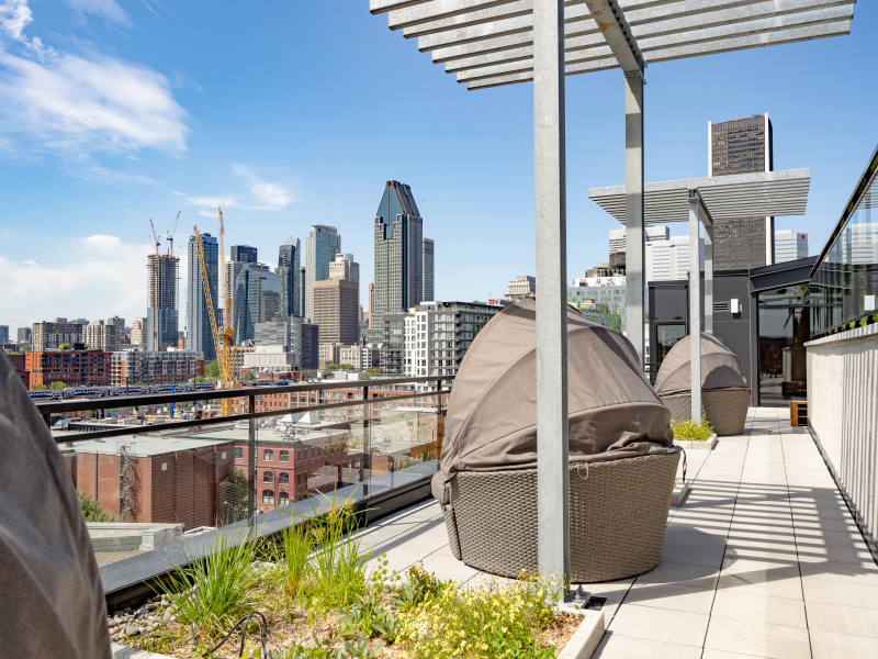DOMO Condo Rentals - Photo 6 of 50