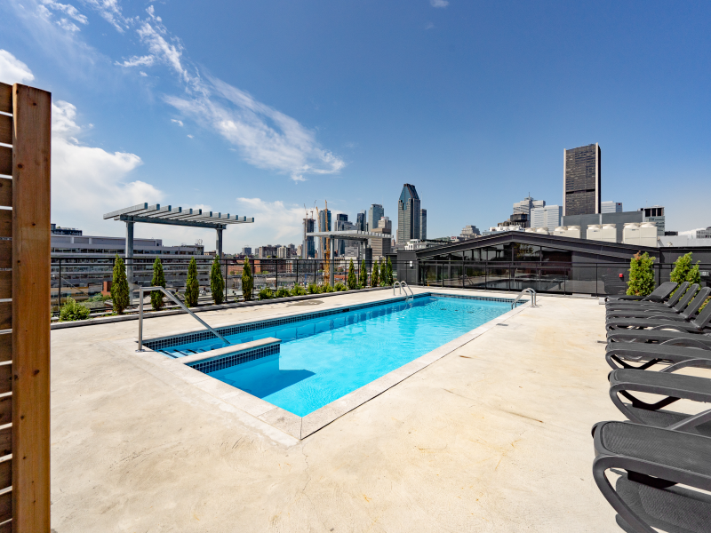 DOMO Condo Rentals - Photo 7 of 50