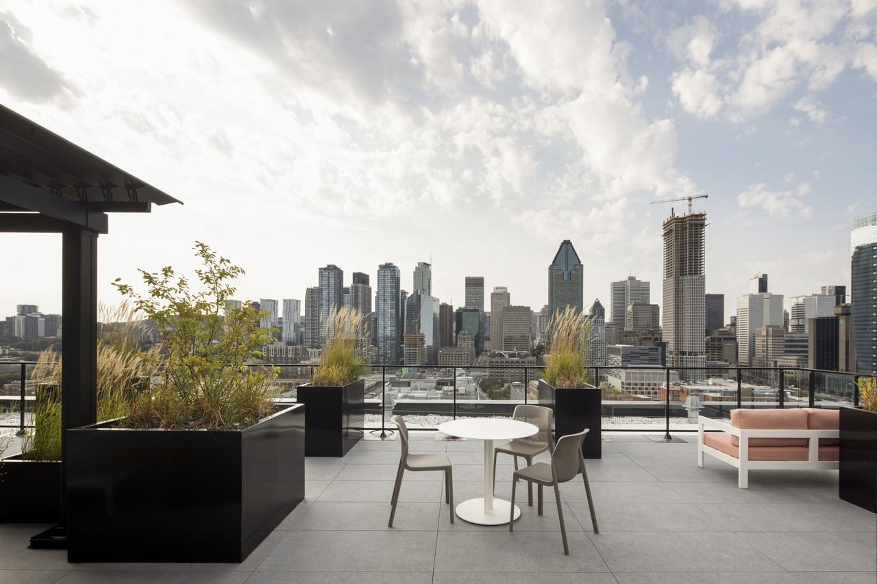 GRIFFIN SQUARE Condo Rentals - Photo 3 of 50