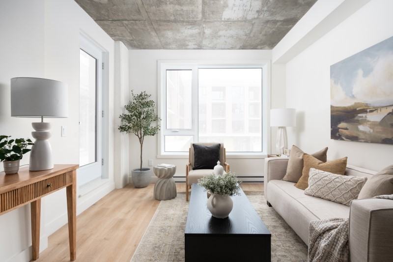 ERIN Condo Rentals - Photo 4 of 50