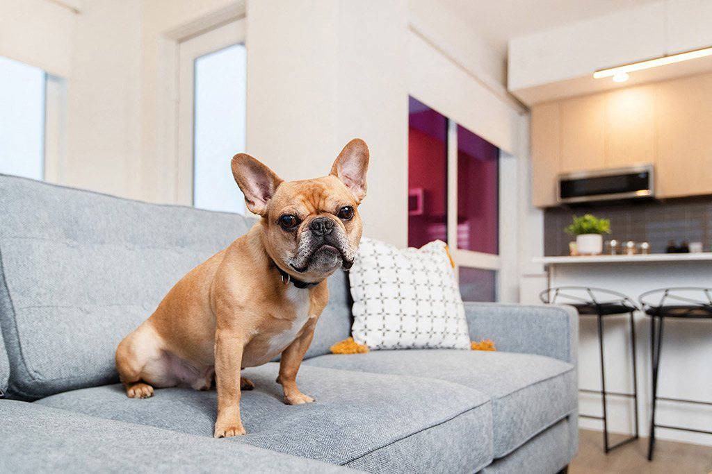 Southpark on Whyte - Photo 3 of 50