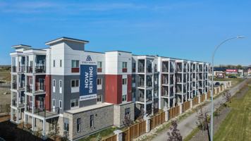 featured image of 53 Avens Way