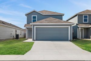 featured image of Willow