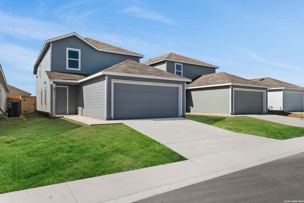 Willow - Photo 2 of 36