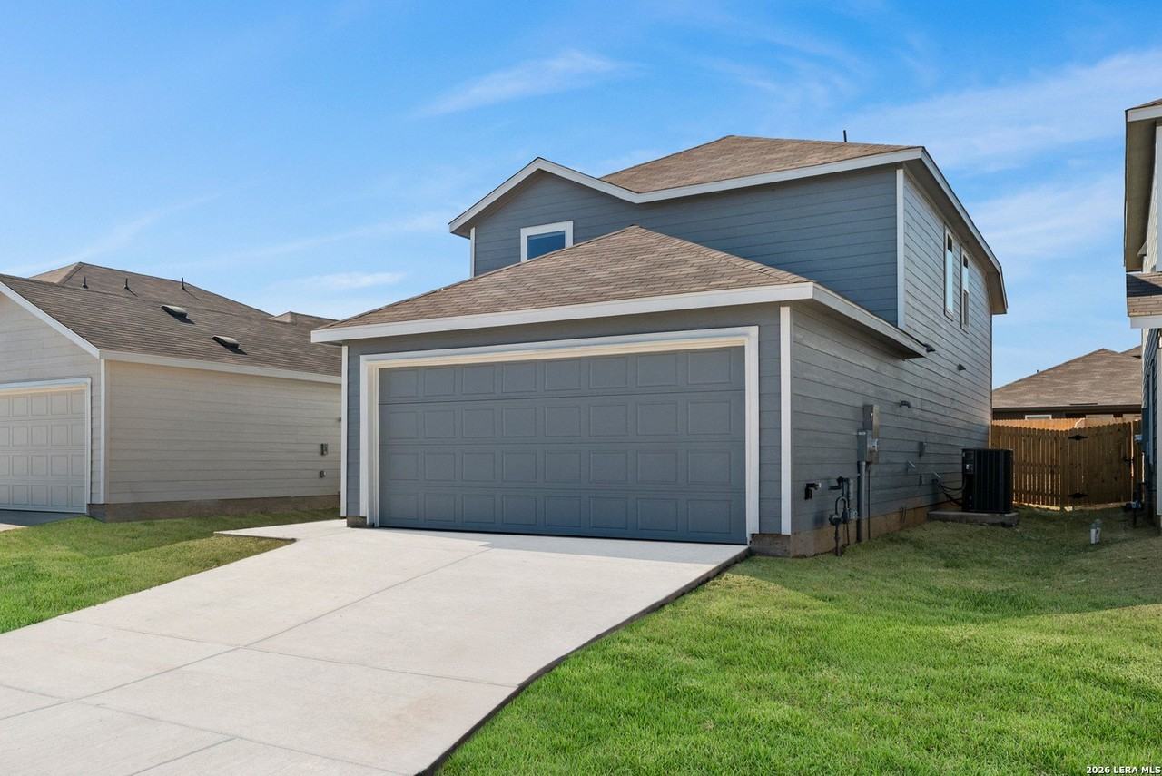 Willow - Photo 3 of 36