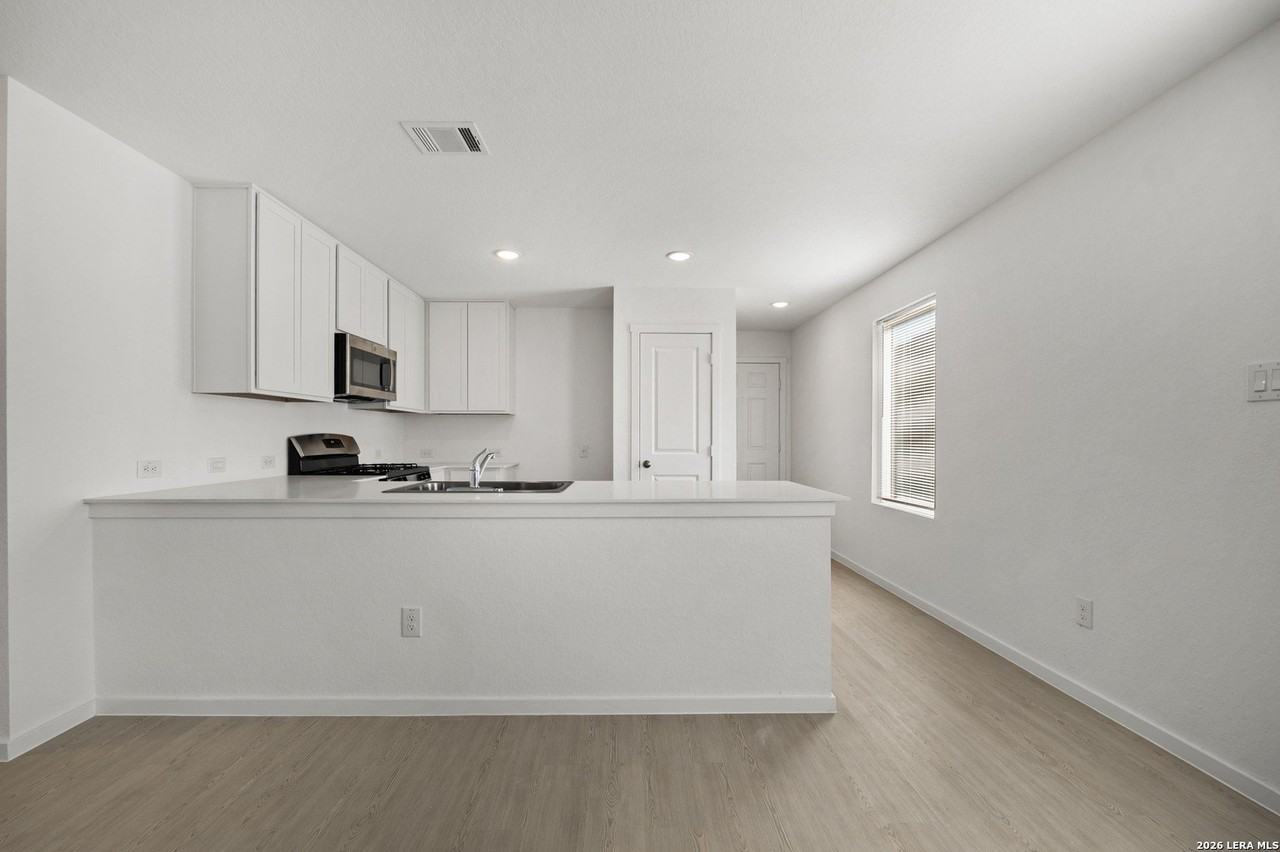 Willow - Photo 4 of 36