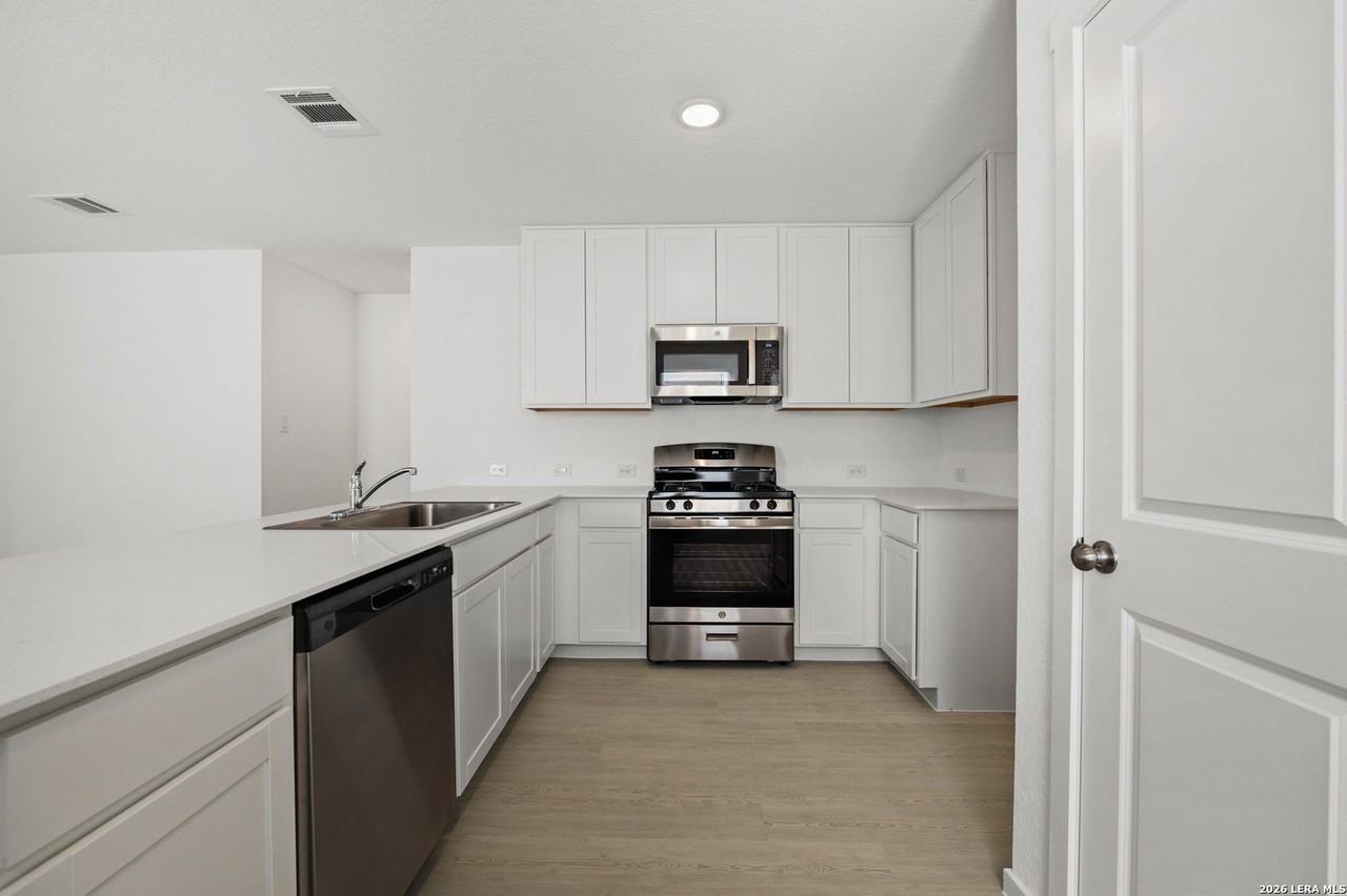 Willow - Photo 5 of 36