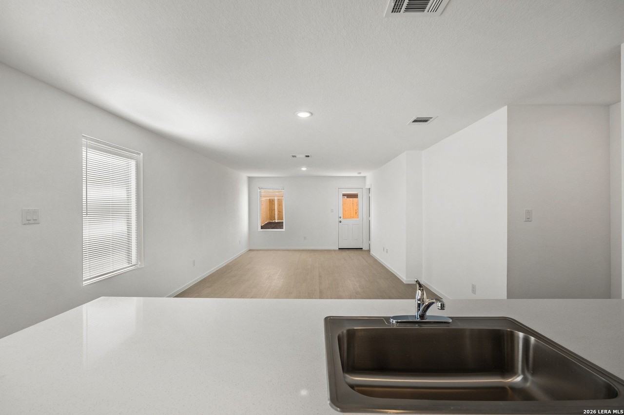 Willow - Photo 6 of 36