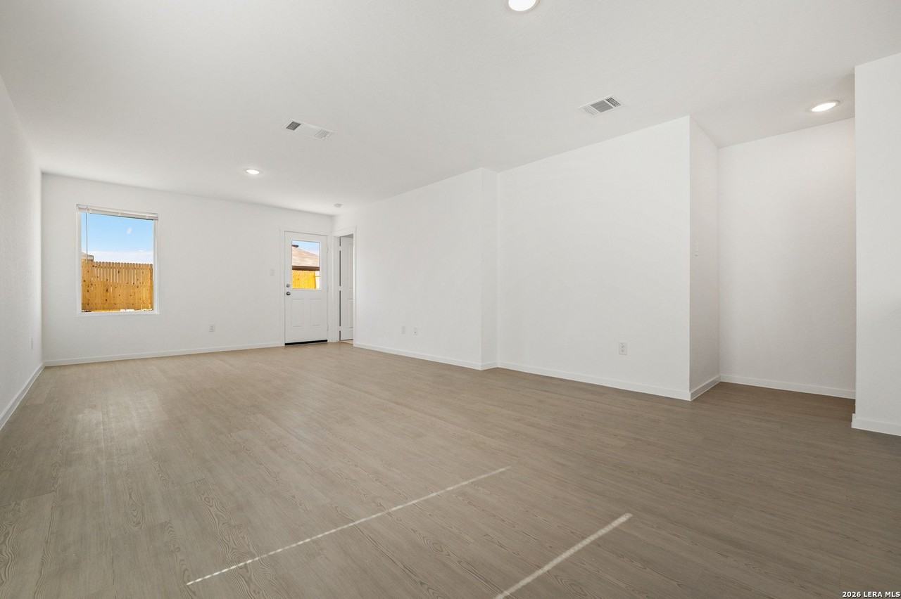 Willow - Photo 7 of 36